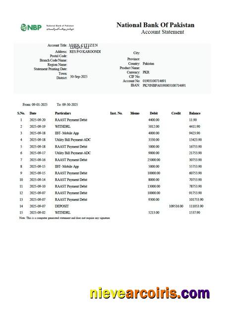 Pakistan National Bank of Pakistan account statement Word and PDF